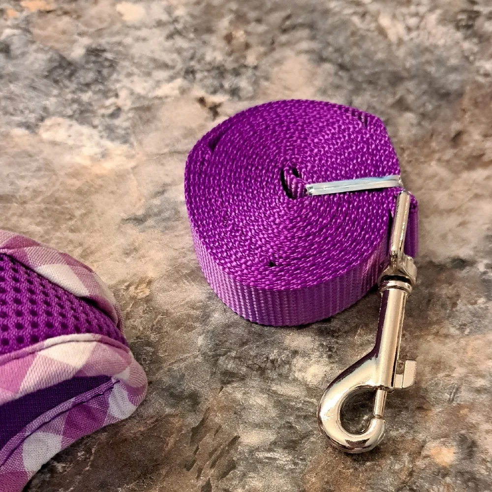 Nwt Purple Dog Harness and Leash Set